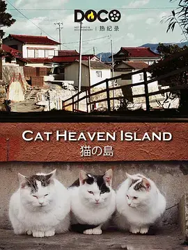 《猫之岛》：治愈系猫咪天堂，探寻人与猫的和谐共生，温暖你疲惫的心灵！