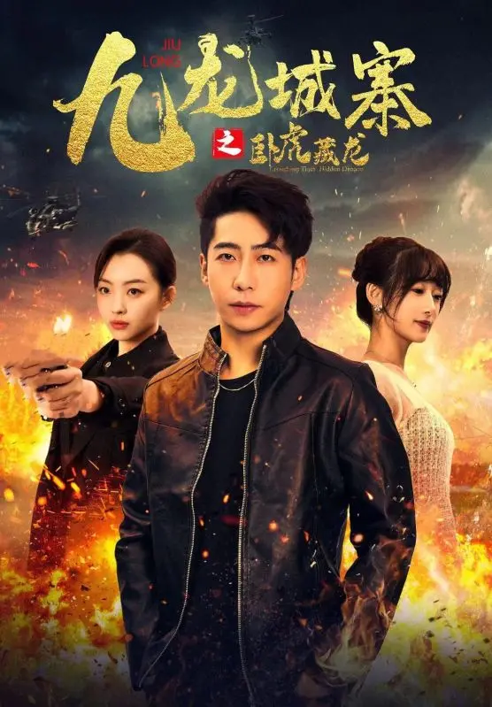 《九龙城寨之卧虎藏龙》：热血沸腾！重温港式动作片黄金时代的暴力美学！