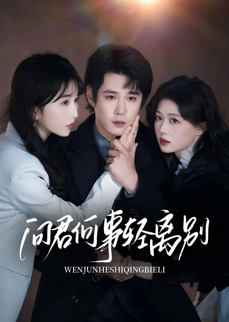 问君何事轻离别 海报