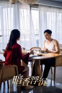 《暗香浮沉》：民国悬疑大剧，身陷家族阴谋，谁能拨开迷雾见光明？