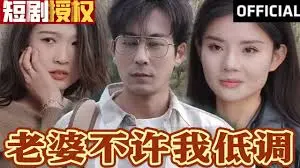 《老婆不许我低调》：婚姻、事业与爱情的爆笑狂想曲，谁说平凡不精彩？