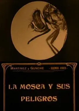 《苍蝇的危害》：不止是烦扰，更是健康警钟！揭秘微小生物的巨大威胁